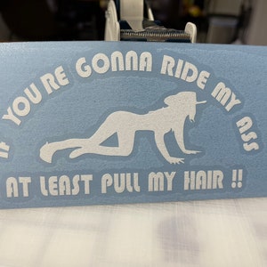 Ship from USA - funny_pull_my_hair 2 Decal Sticker For Use On Laptop, Helmet, Car, Truck, Motorcycle, Windows, Bumper, Wall