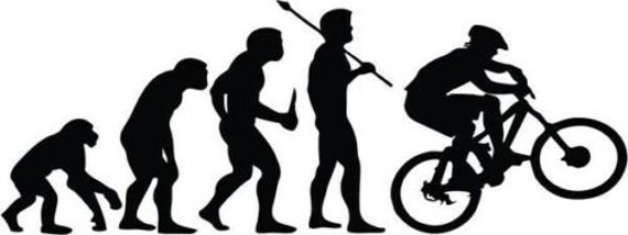 Evolution mountain bike sale