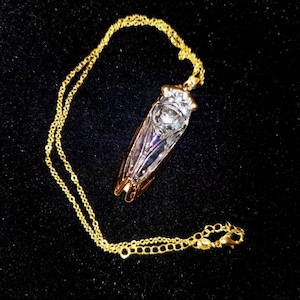 Può includere: Una collana dorata con un ciondolo a forma di cicala. Il ciondolo ha un corpo trasparente e sfaccettato e dettagli dorati. La delicata catena e la chiusura sono anch'esse dorate.