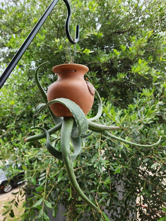 Down Under Pot Size E 6