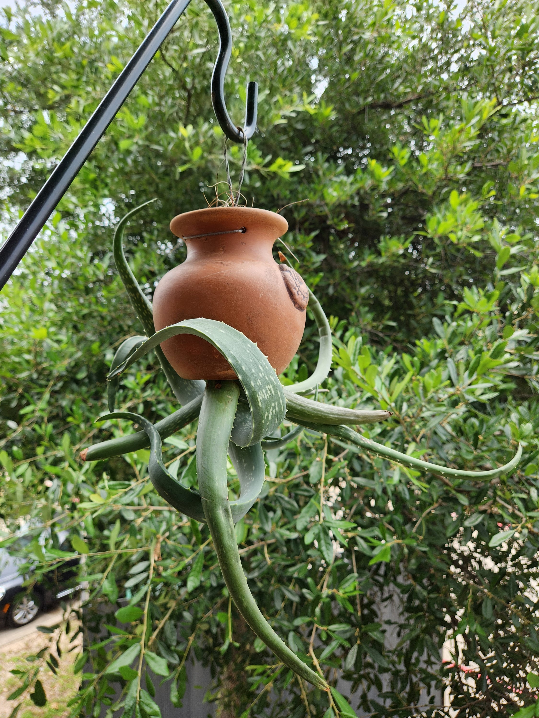Down Under Pot Size D 7