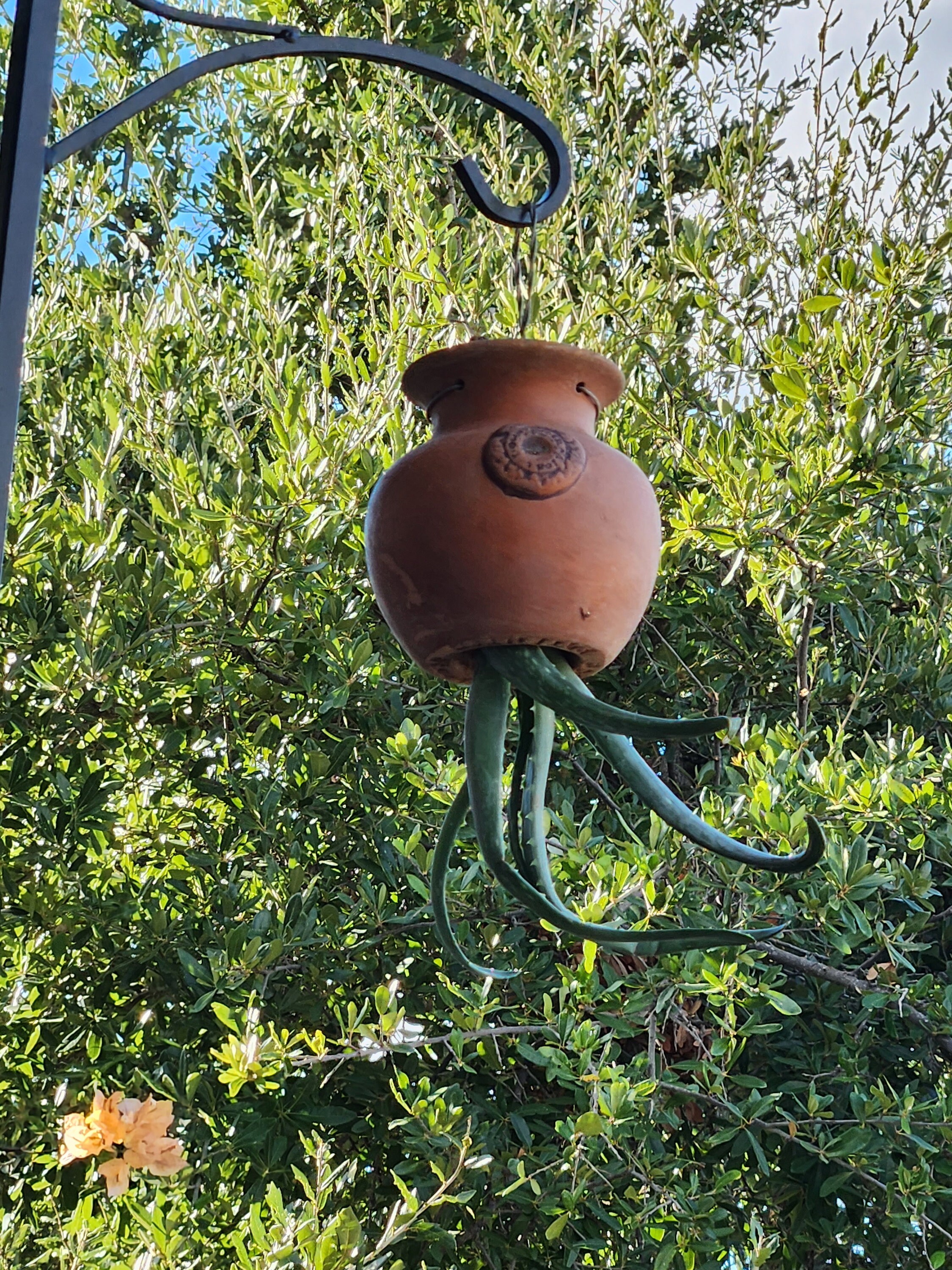 Down Under Pots Size B 10