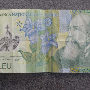 Rumänien 1 Eur 2005, Papiergeld Weltwährng Banknoten Bill Note LOT Vintage, rumänisches Papierpony, NICOLAE IORGA 1871-1940