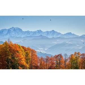 Heißluftballons und Mont Blanc (Fototafel)