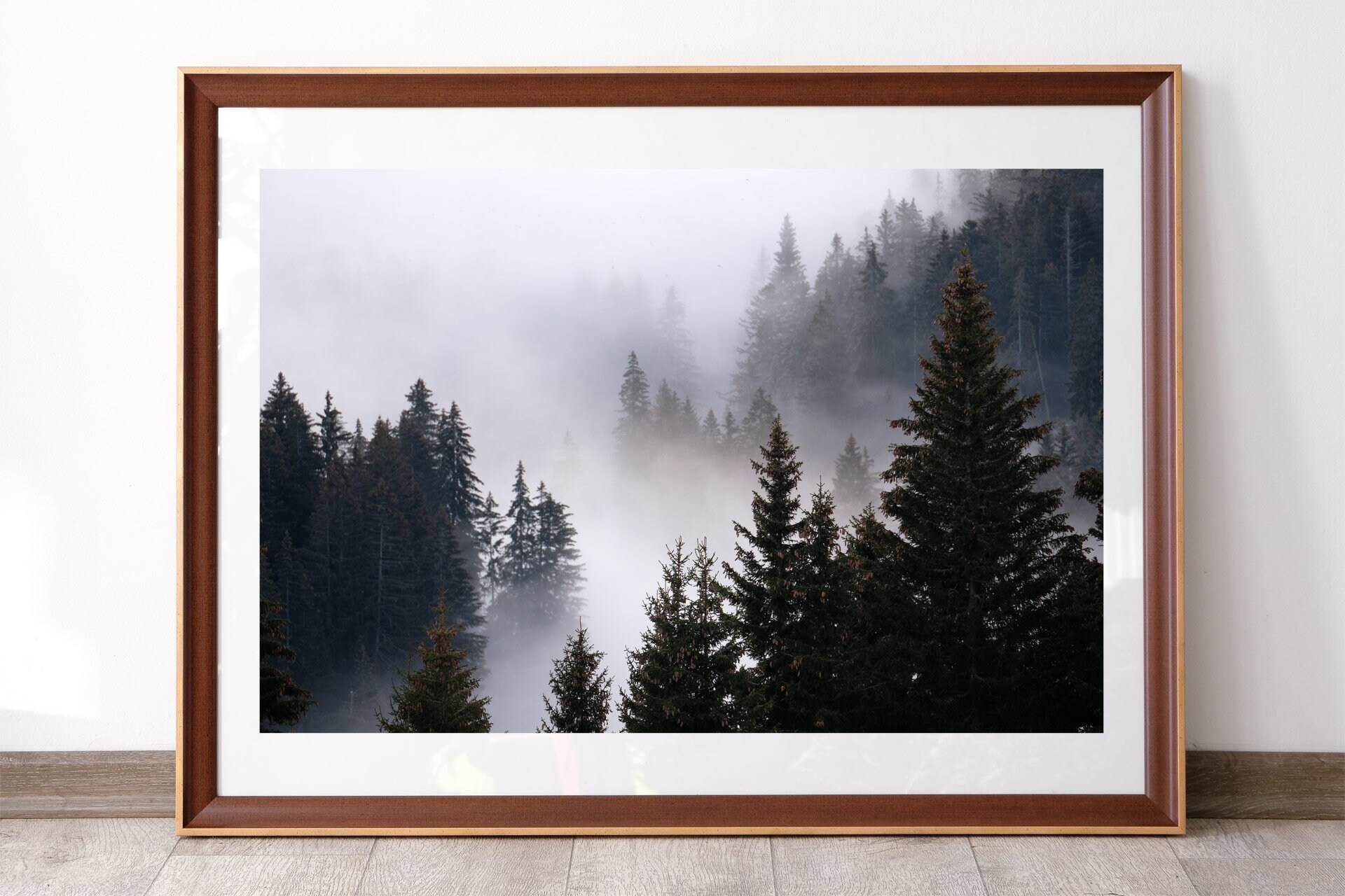 Bauges forest in the mist