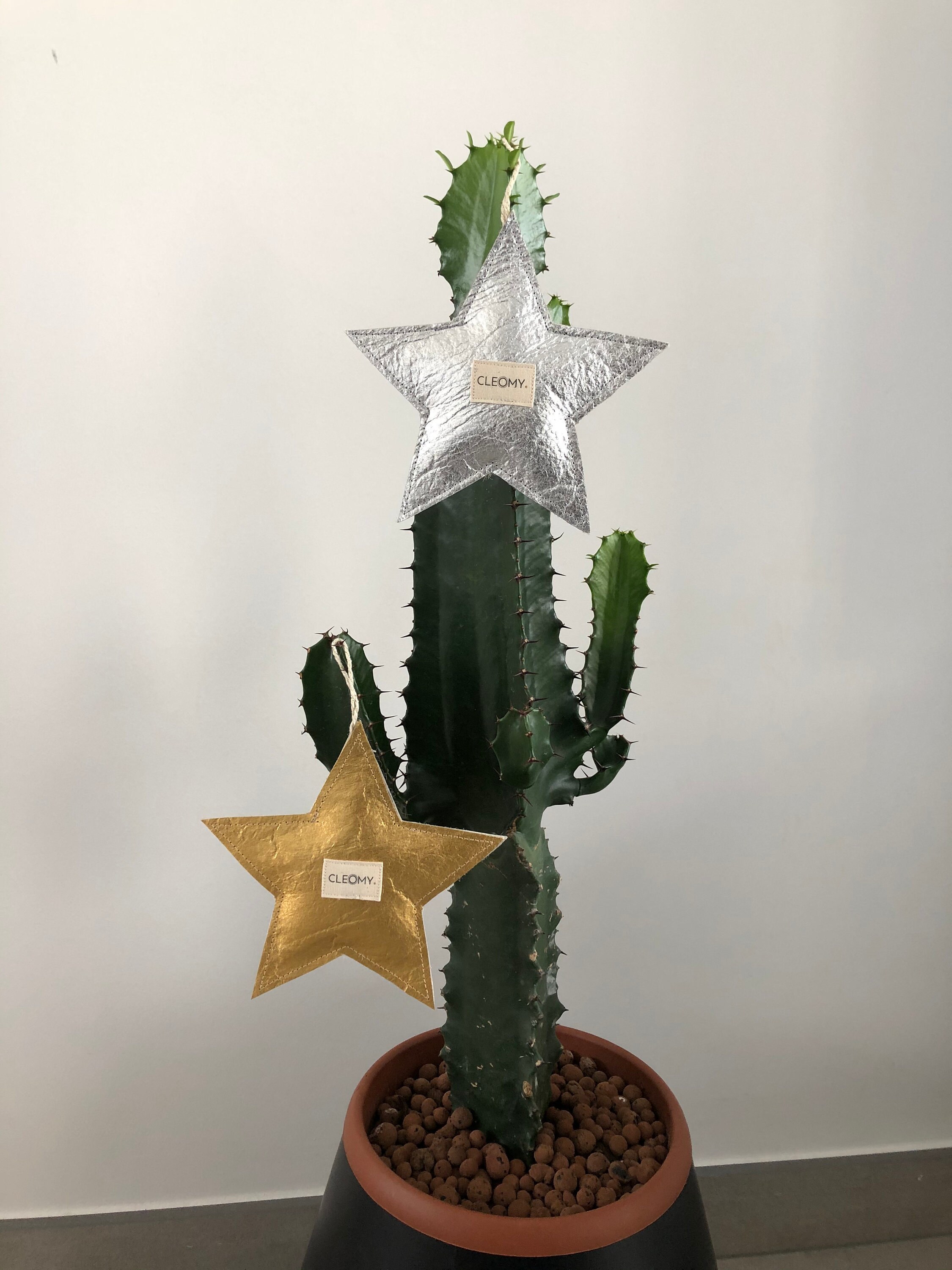 Etoile en Cuir Végétal