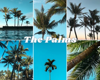 THE PALMS PRESET - palmboom preset, nature preset, palm tree filter, california preset, blue and green enhancing, teal preset, tree edit