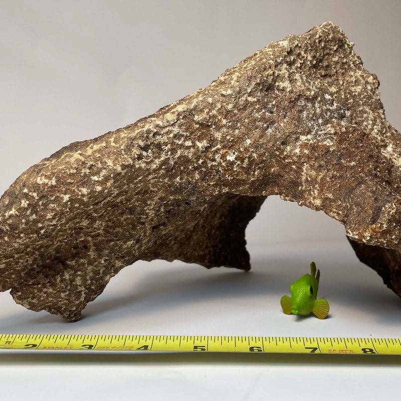 Aquarium Rock - Etsy