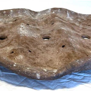 Bonsai Forest Pot Handmade by Colorado Artist Linda Paul - Etsy