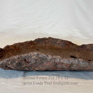 May include: A textured, oblong bonsai forest pot with a rough, uneven rim. The pot is primarily brown with reddish and gray accents. The dimensions are 19 inches long by 12 inches wide.