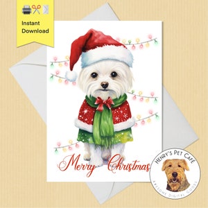 Carte de vœux imprimable de Noël maltais, taille 5 x 7, téléchargement numérique instantané, cadeau pour les amoureux des chiens, carte pour animaux de compagnie de vacances, chiot moelleux mignon