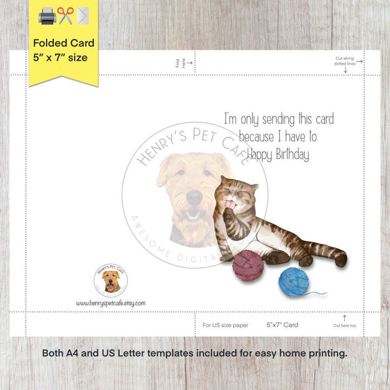 Funny Cat Birthday Card, Grumpy Cat Lover Gift (digital Download) - Etsy UK