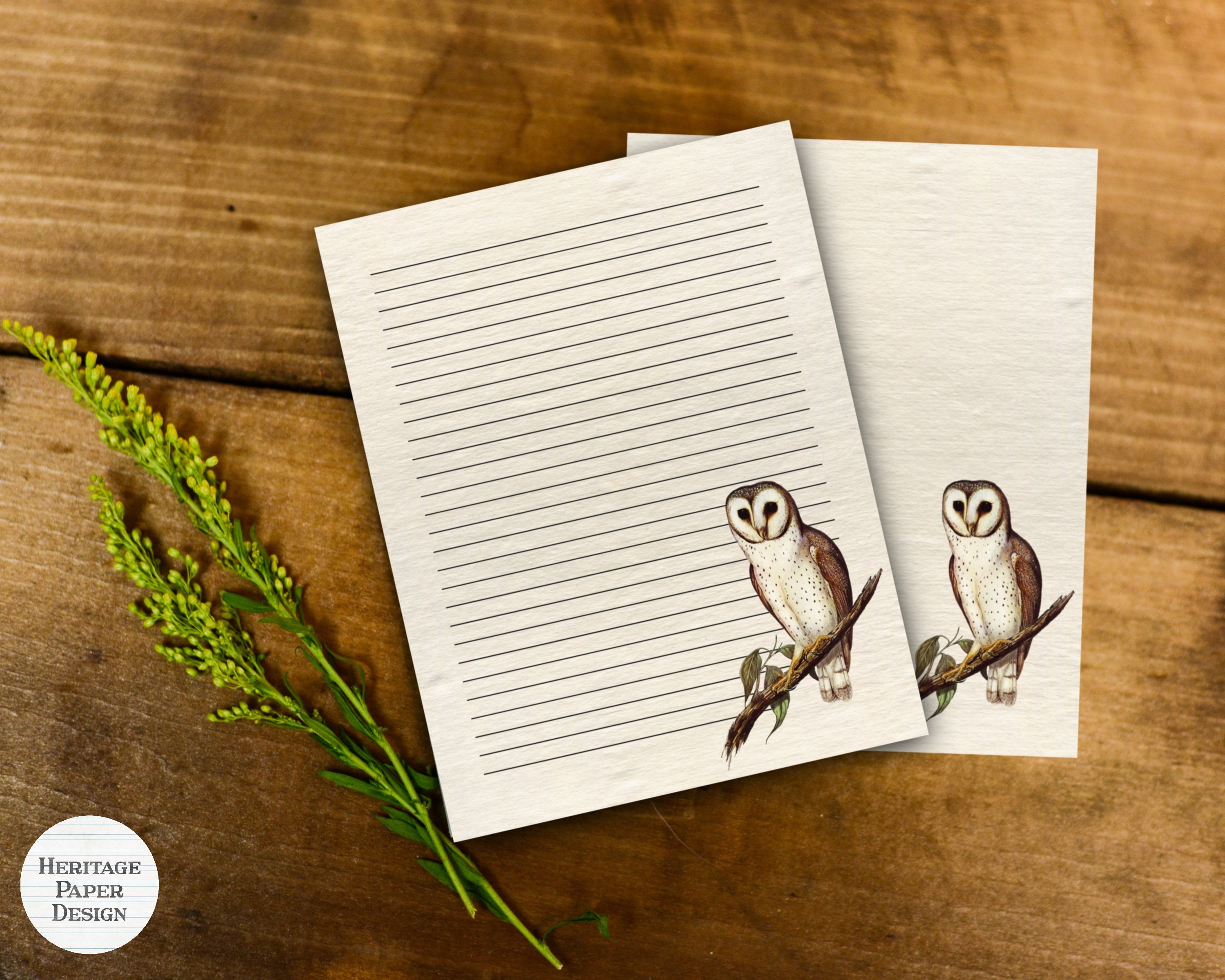 Barn Owl Printable Stationery 8.5x11 & A4 Size | Digital Paper ...