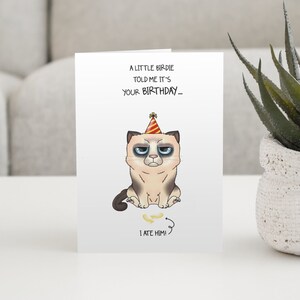 Grumpy Cat Birthday Card - Little Birdie Told Me it's Your Birthday, Cat ate the Birdie | Funny Cards For Cat Mum From Fur Baby, Cat Lovers