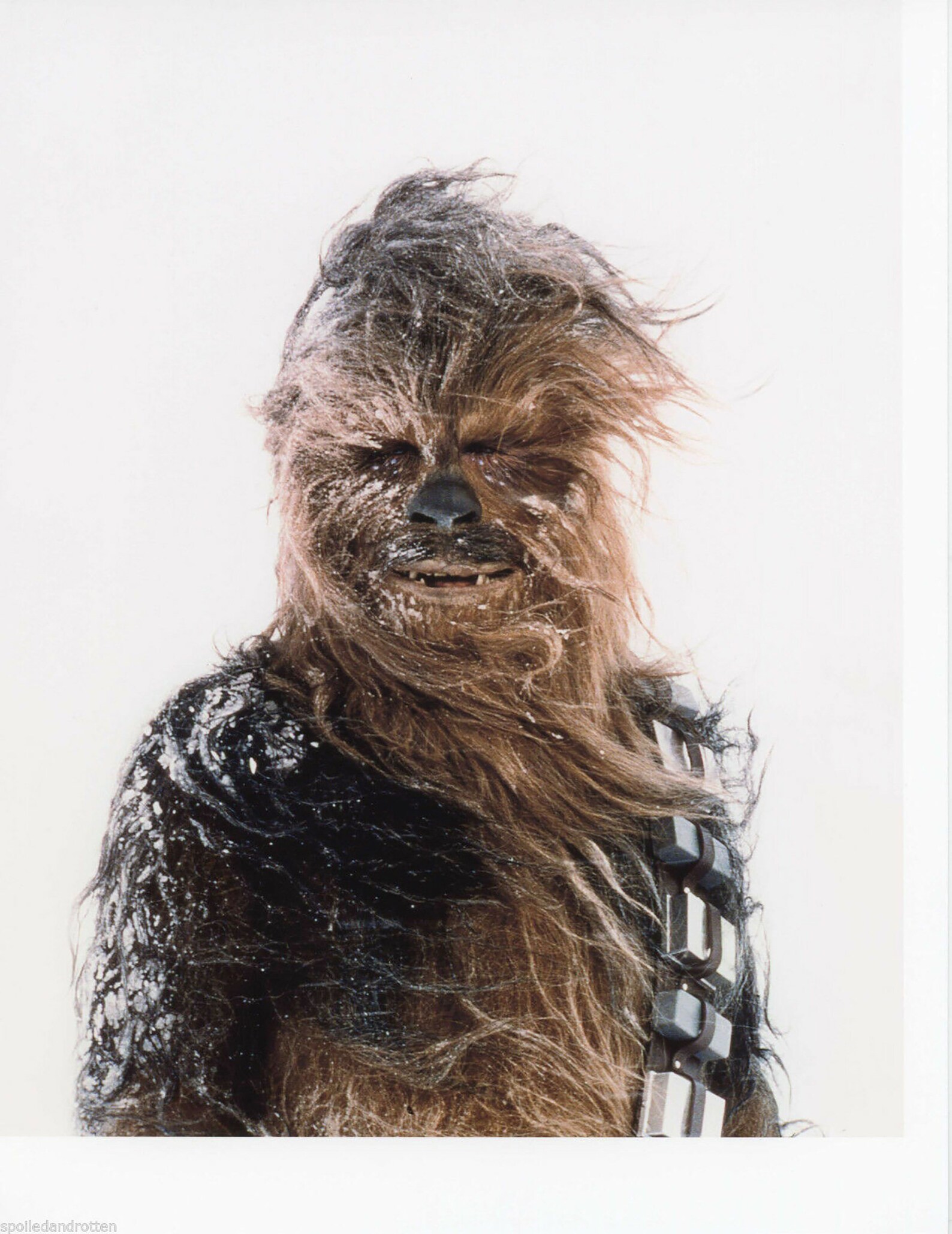 Chewbacca Chewie Snow Star Wars Movie Poster / Chewbacca Retro | Etsy