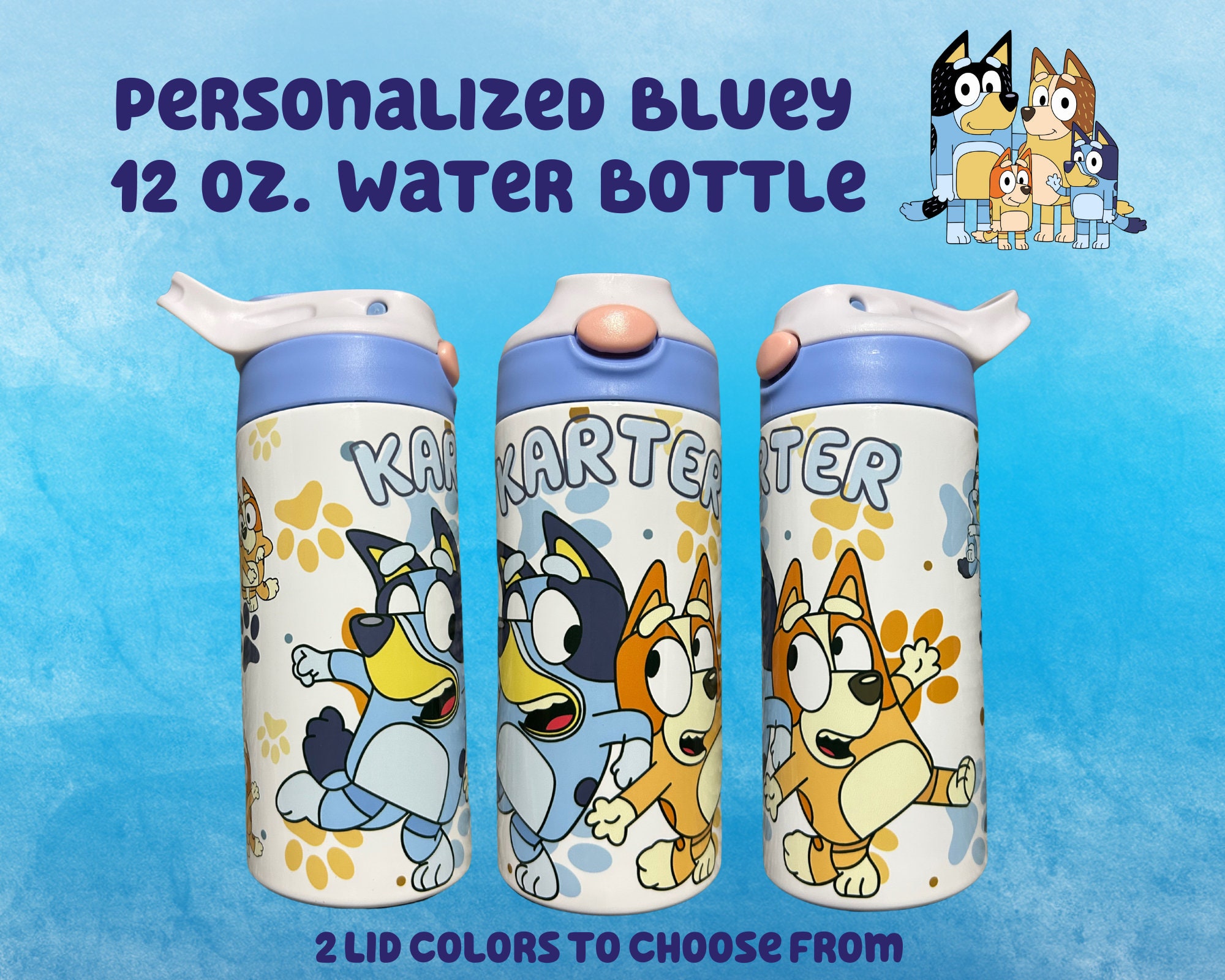 Buy Bluey 473ml Stainless Steel Bottle (Blue Lid) Online