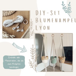 Könnte beinhalten: DIY-Set für eine Makramee-Pflanzenampel mit weißem Garn, Holzring und Anleitung. Das Set enthält alle Materialien, die zum Knüpfen einer Makramee-Pflanzenampel benötigt werden. Das fertige Produkt ist auf dem Bild zu sehen, mit drei Pflanzenampeln, die von der Decke hängen.