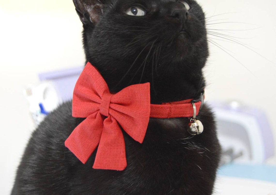 Classic Red Cat Collar & Red Bow Set Red Cat Collar with Etsy