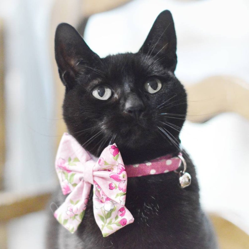 Pink Floral Cat Collar with Bow Pink Polka Dots Kitten Etsy