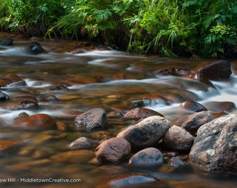 Glacier Creek