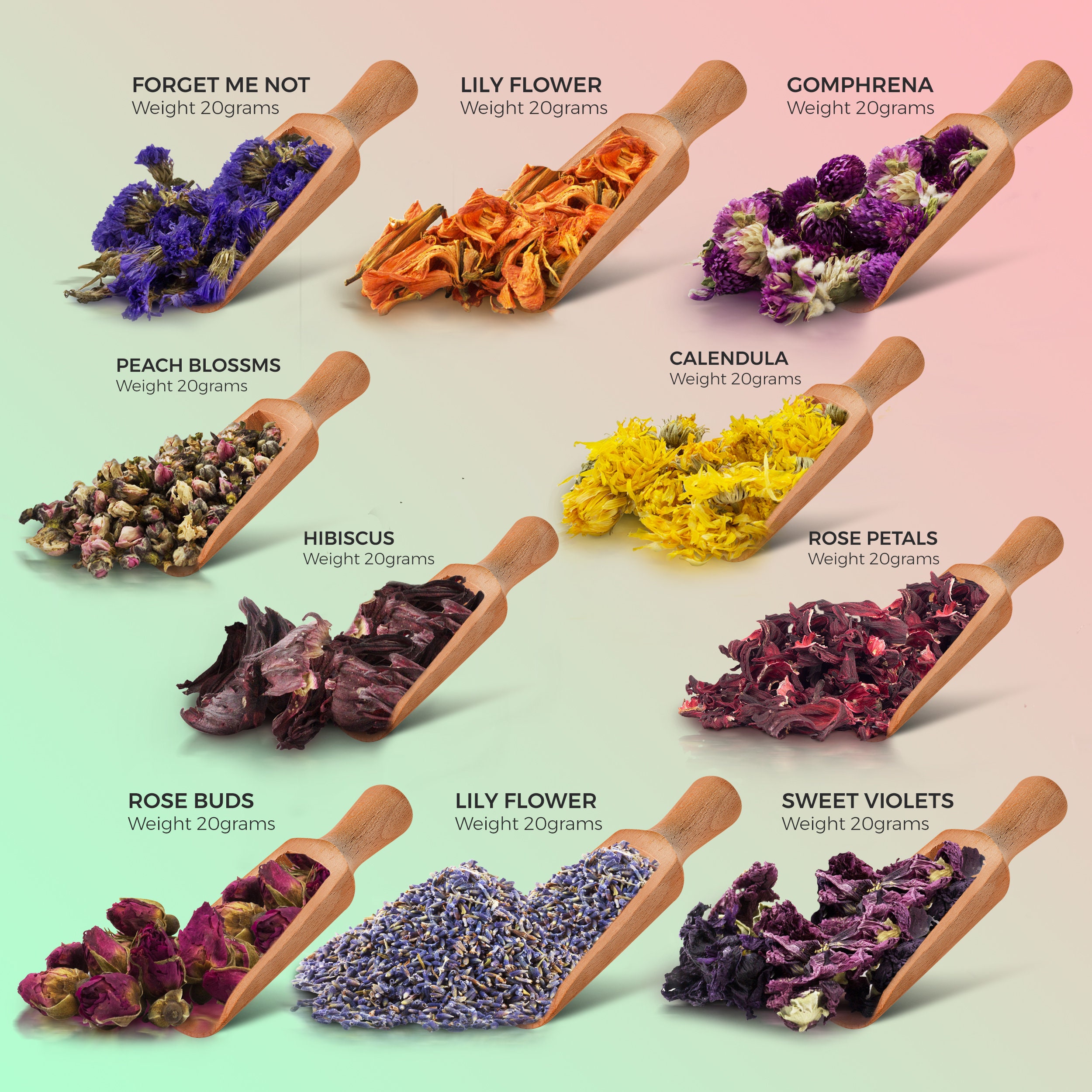 Natural Dried Flowers Set of 10 Botanical Verities for Soap Etsy