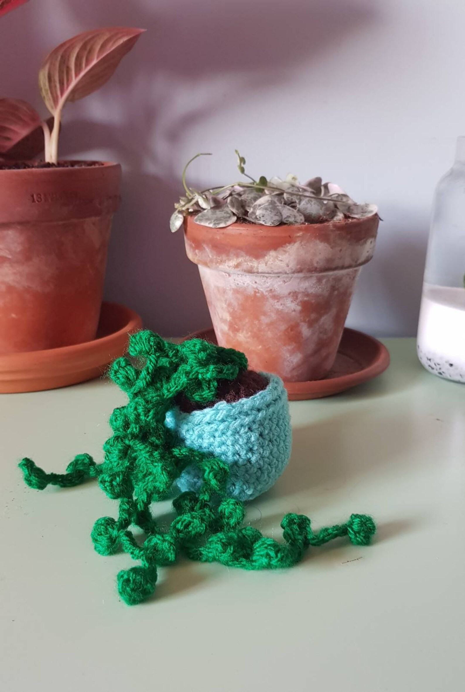 Crochet string of pearls succulent. Etsy