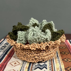 Crochet Succulent Coasters