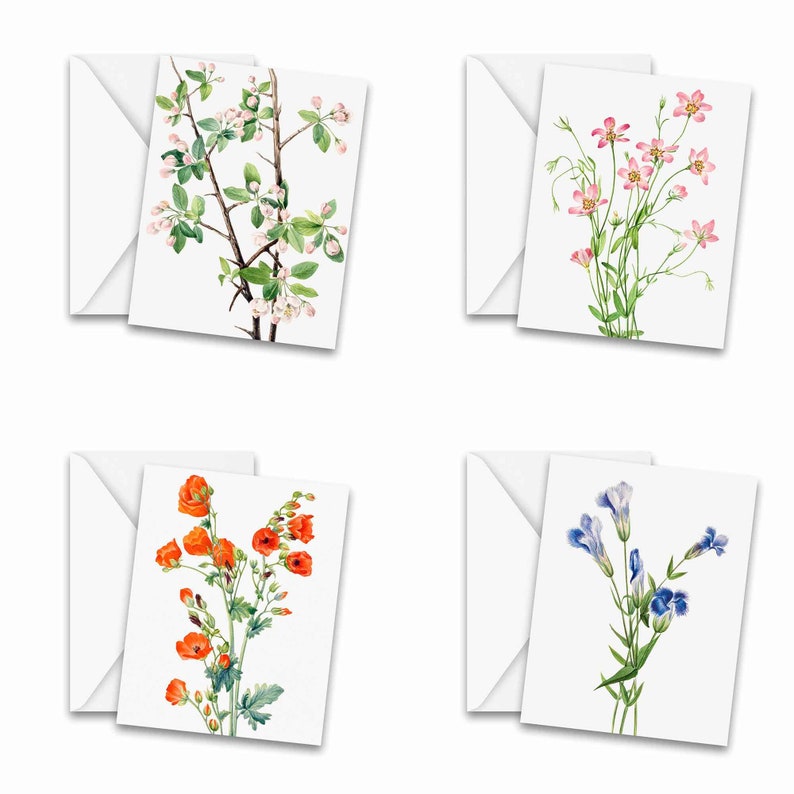 Assorted Vintage Botanical Greeting Cards Set of 25 - Stationery ...