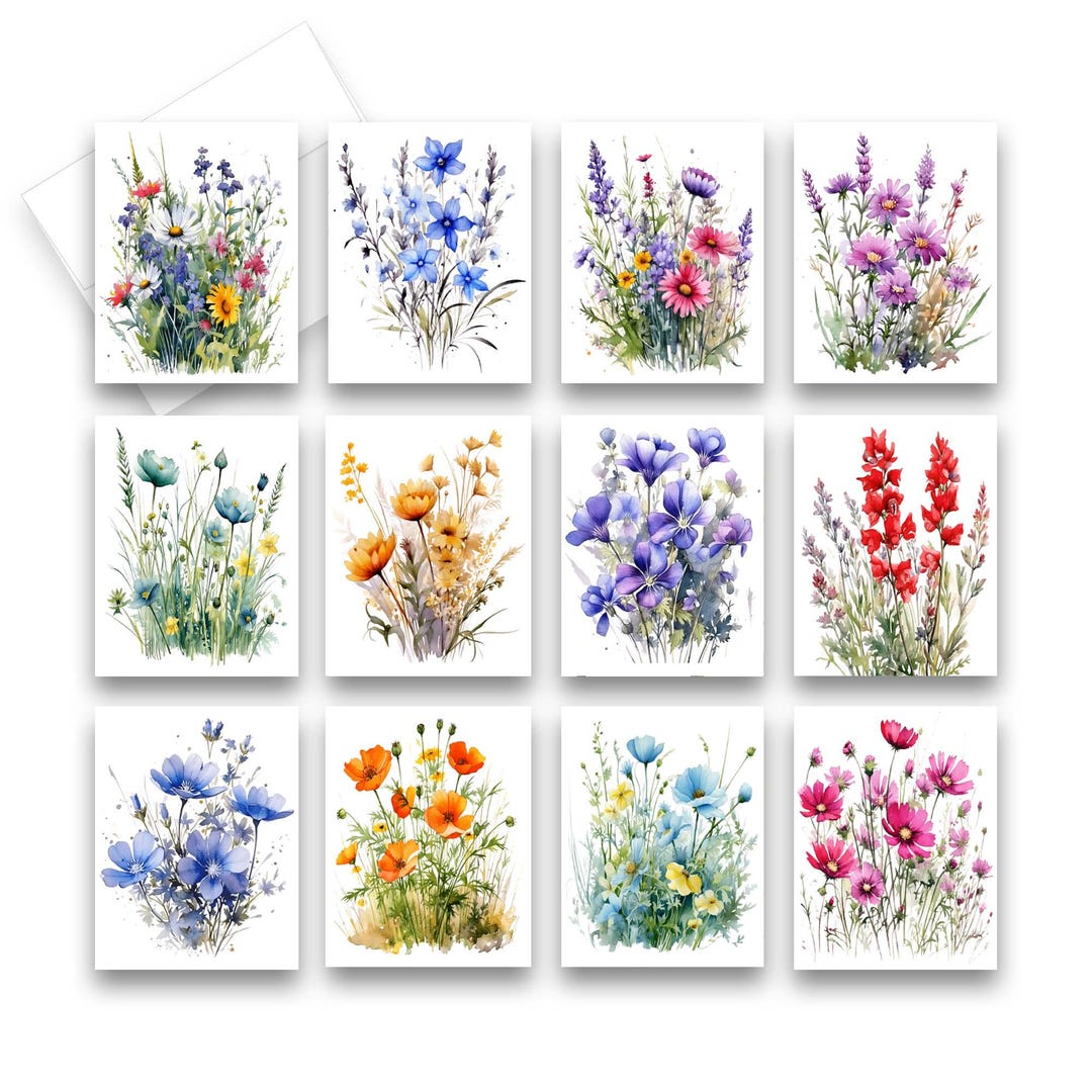 Assorted Cards, Wildflower Note Cards, Blank Cards With Envelopes ...