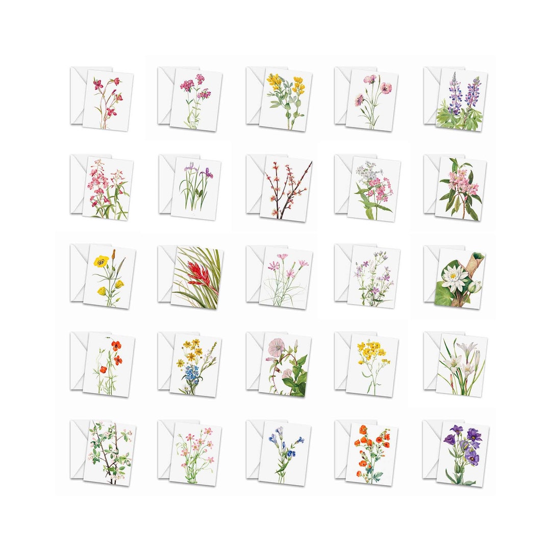 Assorted Vintage Botanical Greeting Cards Set of 25 - Stationery ...