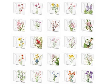 Small World Greetings Spring Blossoms Blank Note Cards - Flower