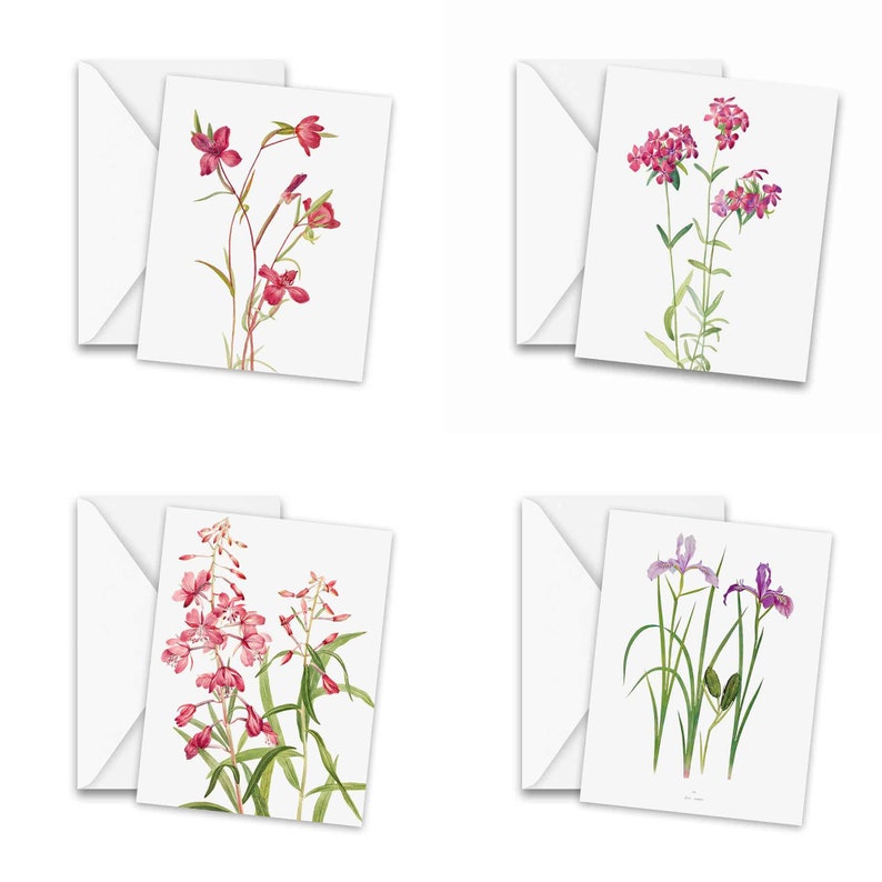 Assorted Vintage Botanical Greeting Cards Set of 25 - Stationery ...