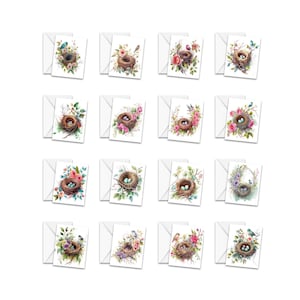 Assorted Watercolor Bird Nest Greeting Card Set, Set of 16, Birds Notecards, note cards, blank notecard, greeting cards, assorted note cards