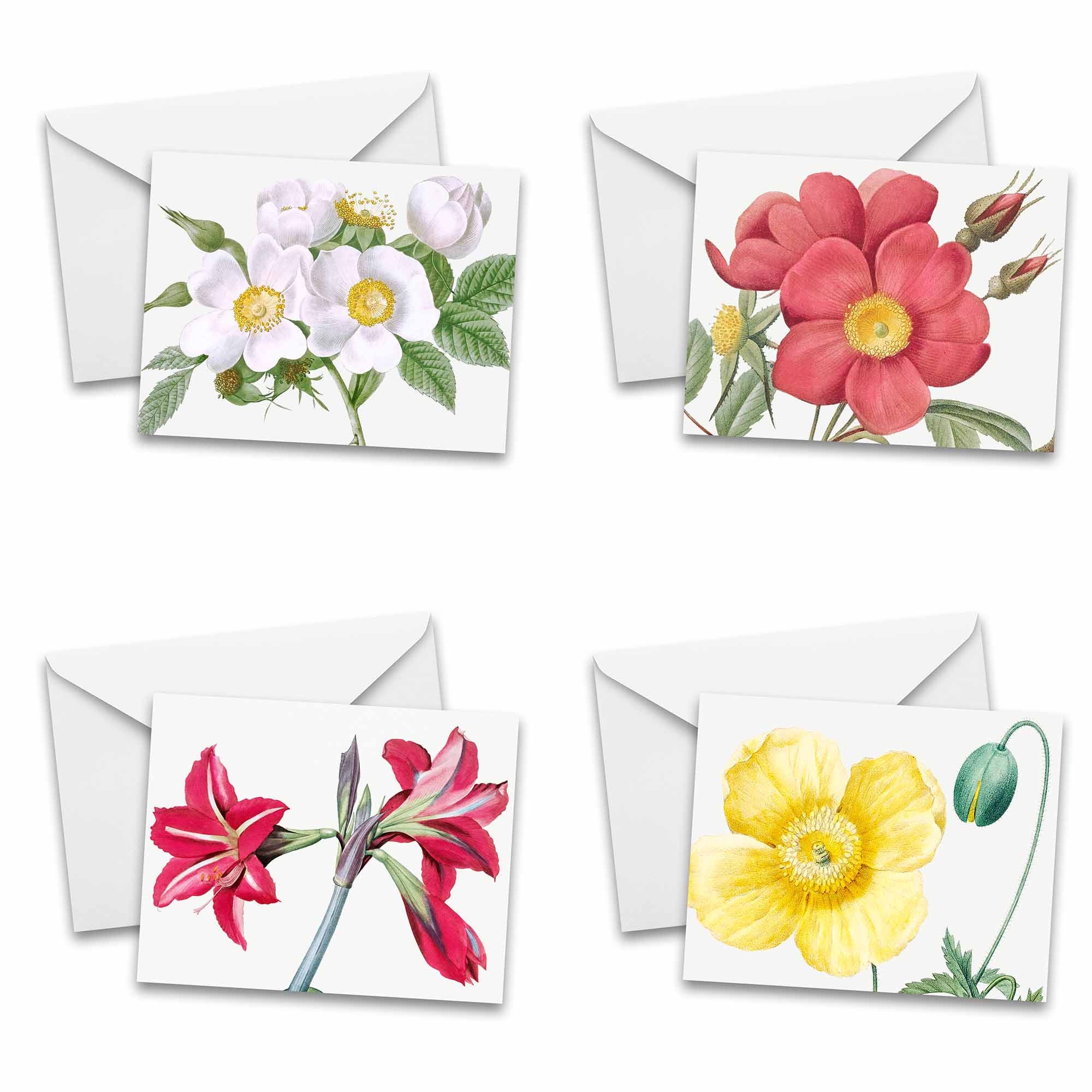 Assorted Vintage Botanical Greeting Cards Set of 25 - Stationery ...