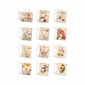 Vintage Botanical Notecard Set: Assorted Floral Greeting Cards