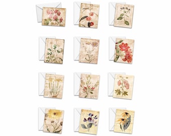 Vintage Botanical Notecard Set: Assorted Floral Greeting Cards