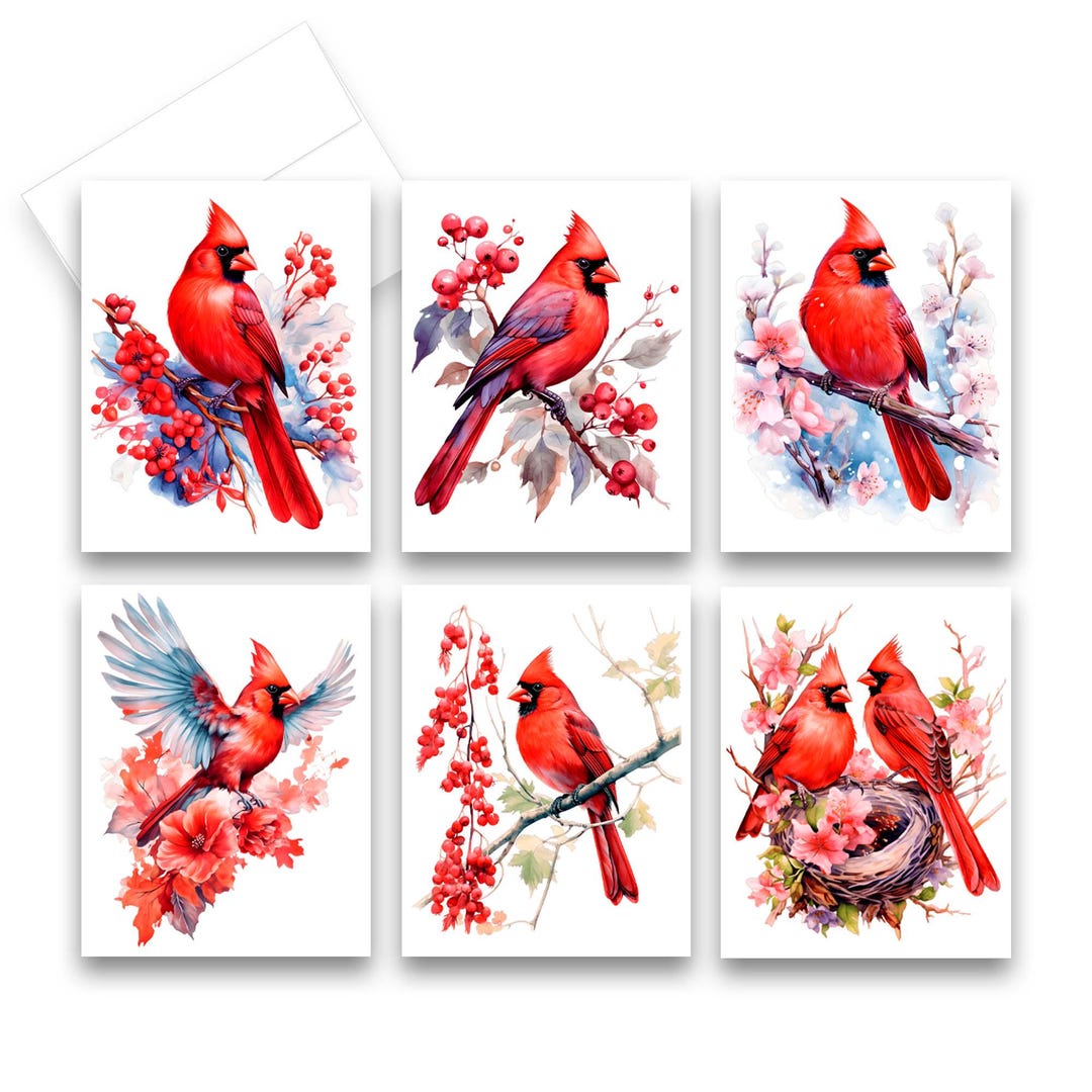 Cardinal Note Paper Set of Blank Note Cards, Cardinal Cards, Assorted Cards, Folded ...