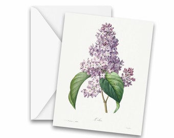 Vintage Botanical Lilac Greeting Cards - Stationery, Notecards, thank you cards, note cards, blank notecard, greeting card set, flower card