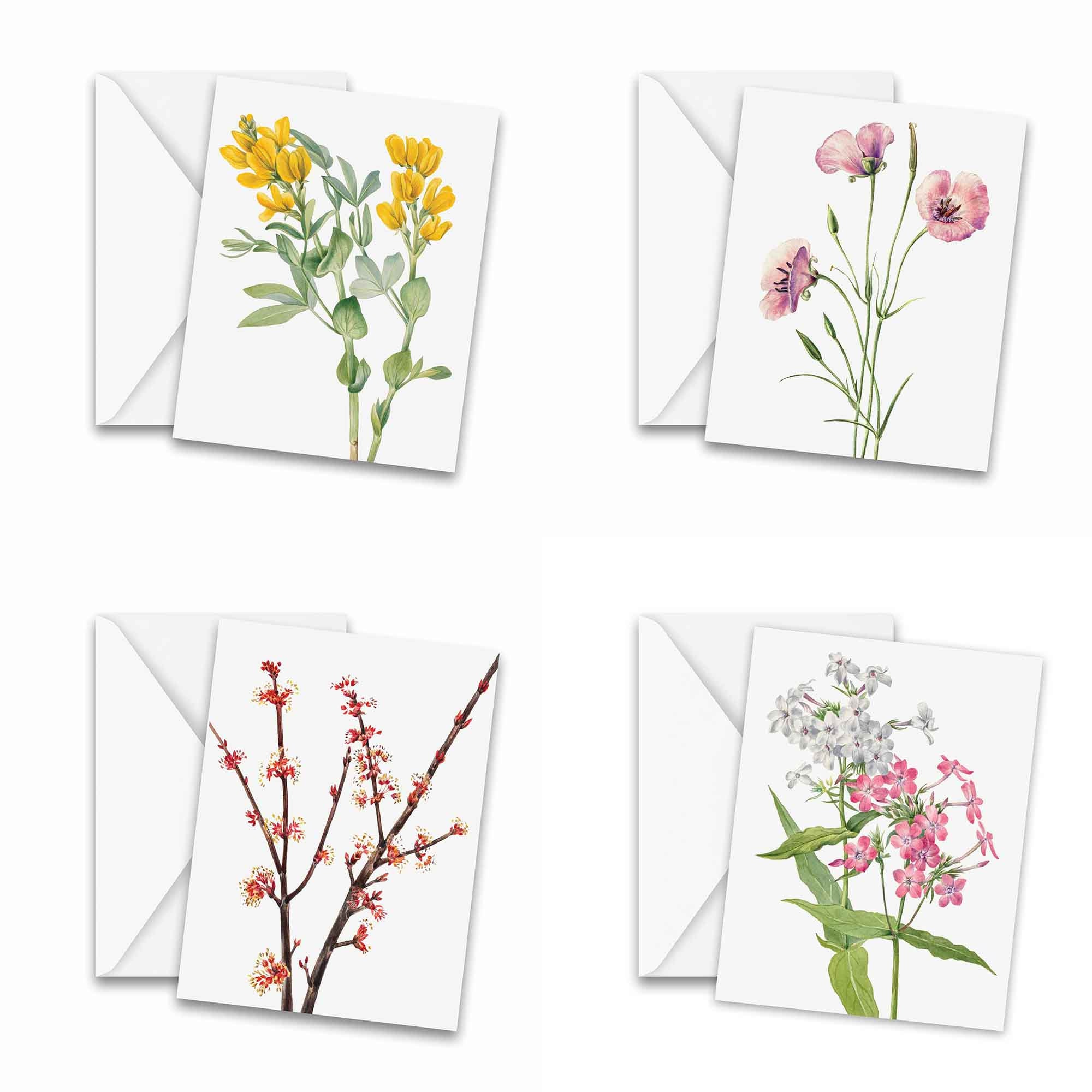 Assorted Vintage Botanical Greeting Cards Set of 25 - Stationery ...
