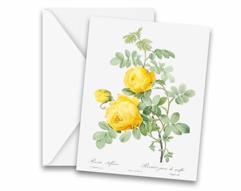 Vintage Botanical Yellow Rose Greeting Cards - Stationery, Notecards, thank you cards, note cards, blank notecard, greeting card set