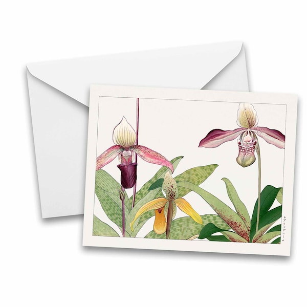 Japanese art Card, Vintage Orchid Cards, folded stationery, set of blank note cards, all occasion note cards, note card pack,