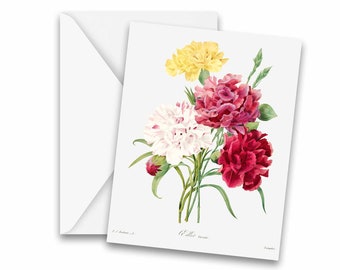 Vintage Botanical Carnation Greeting Cards - Stationery, Notecards, thank you cards, note cards, blank notecard, greeting card set