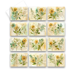Assorted Vintage Flowers Greeting Card Set, All occasion cards, blank notecards with envelopes, note card assortment, vintage greeting card
