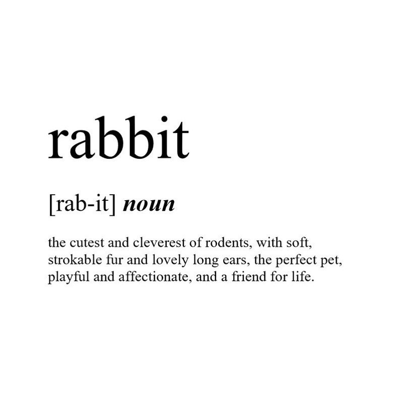 Rabbit Definition Print / Animals / Rabbits / Pets / Home Etsy