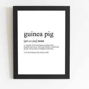 Guinea Pig Definition Print / Guinea Pig Gift / Guinea Pig Present / Guinea Pig Décor / Guinea Pig Art