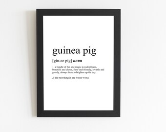 Guinea Pig Definition Print / Guinea Pig Gift / Guinea Pig Present / Guinea Pig Décor / Guinea Pig Art