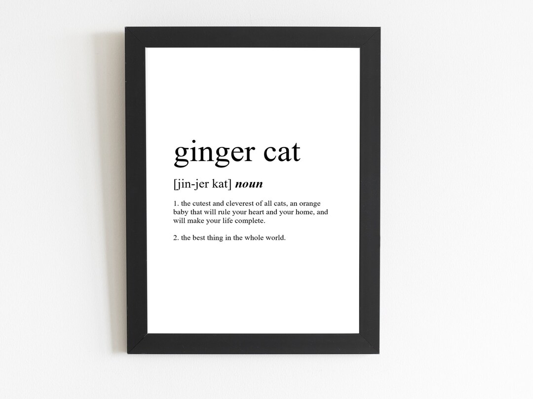 Ginger Cat Definition Print / Ginger Cat Gift / Ginger Cat Present