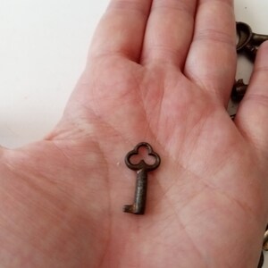 May include: A close-up of a small, antique, rusty key with a clover-shaped keyhole. The key is held in a person's hand.