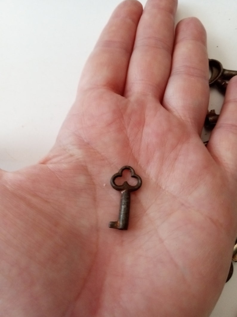 May include: A close-up of a small, antique, rusty key with a clover-shaped keyhole. The key is held in a person's hand.