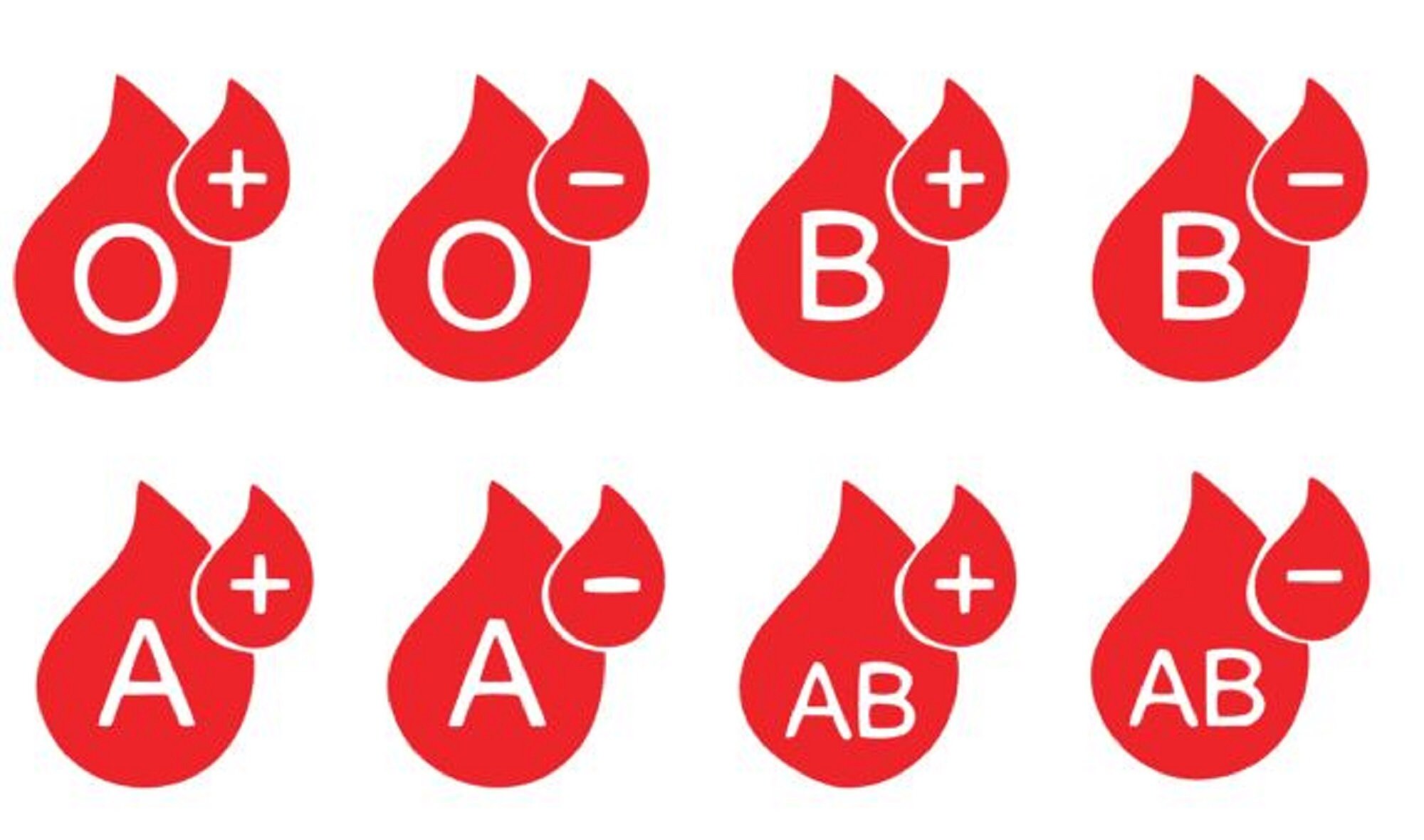 Bloody Type Decals, Blood Group Decals - Etsy